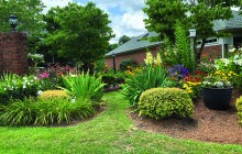 Exploring Beauty In Our Neighborhoods The Fuquay-Varina Garden Club’s 2023 Garden Tour. By Valerie Macon