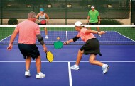 Pickleball, Anyone?   By Michael Laches