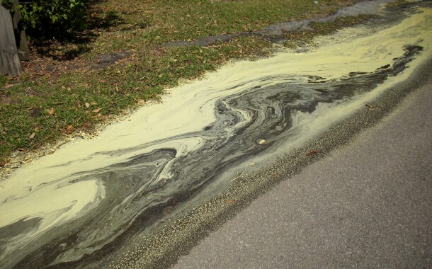 The Infamous Yellow Cloud of Pollen: Natural Alternatives to Help Us Breathe Freely.  By Valerie Macon