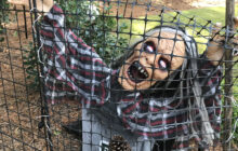 Frightful Fun