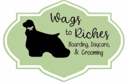 What's New & What's Coming to Fuquay-Varina