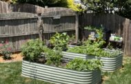 The Many Gifts of Herbs